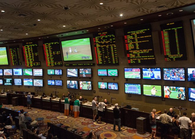 Tournament Formats Creating Diverse Online Sports Betting Opportunities Across Different Sports