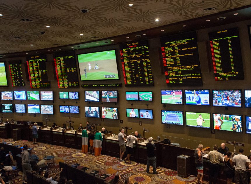 Tournament Formats Creating Diverse Online Sports Betting Opportunities Across Different Sports